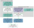 Thumbnail for version as of 16:53, 4 March 2025